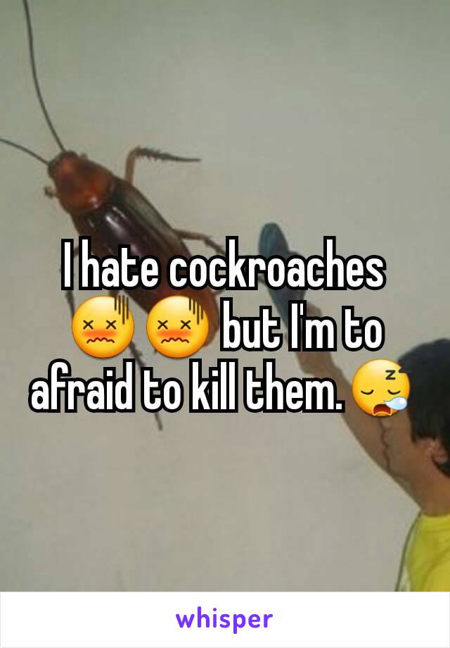 I hate cockroaches😖😖 but I'm to afraid to kill them.😪