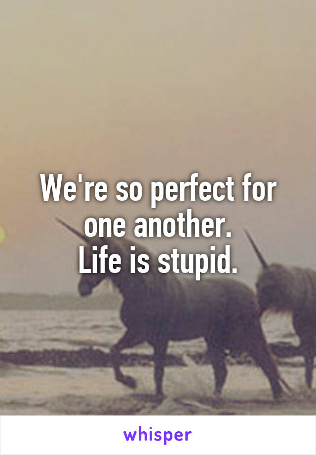 We're so perfect for one another.
Life is stupid.