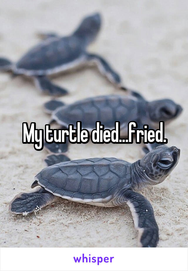 My turtle died...fried.