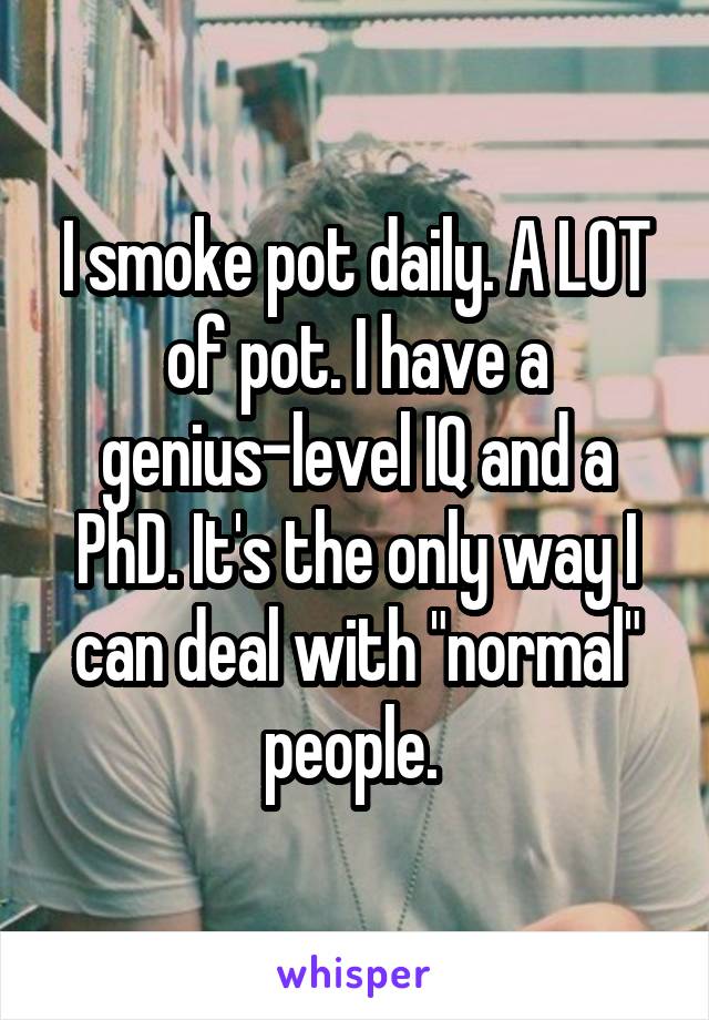 I smoke pot daily. A LOT of pot. I have a genius-level IQ and a PhD. It's the only way I can deal with "normal" people. 