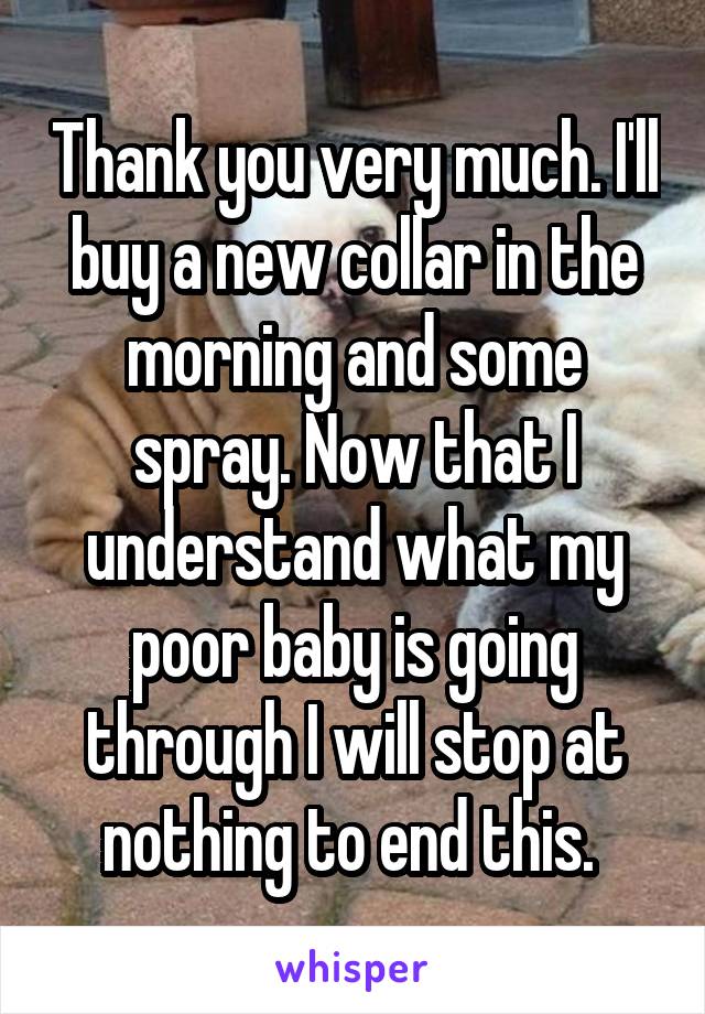 Thank you very much. I'll buy a new collar in the morning and some spray. Now that I understand what my poor baby is going through I will stop at nothing to end this. 