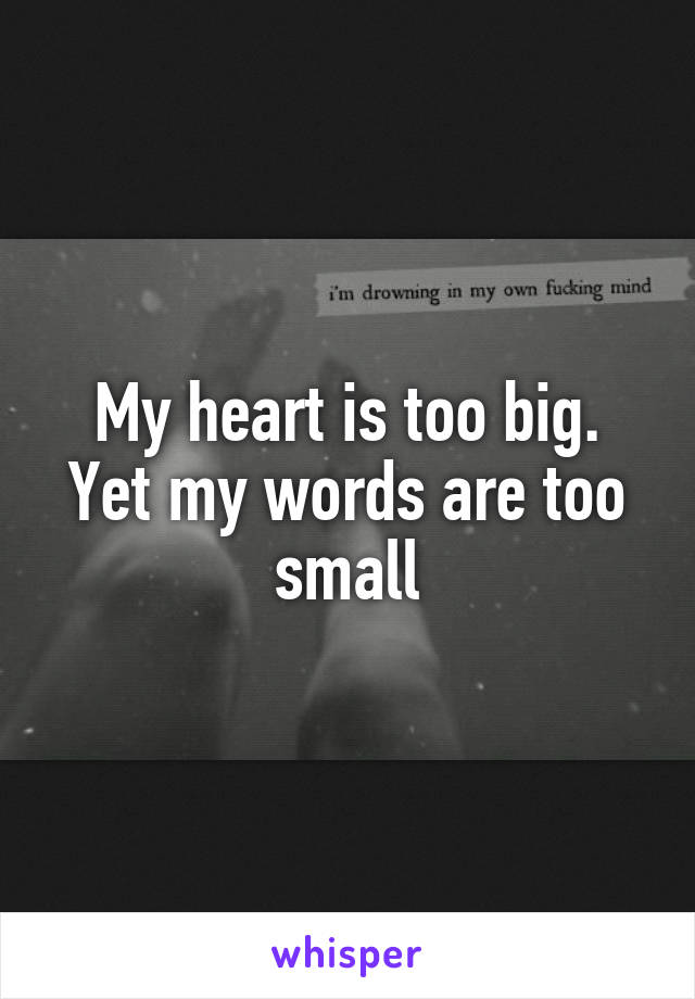 My heart is too big.
Yet my words are too small