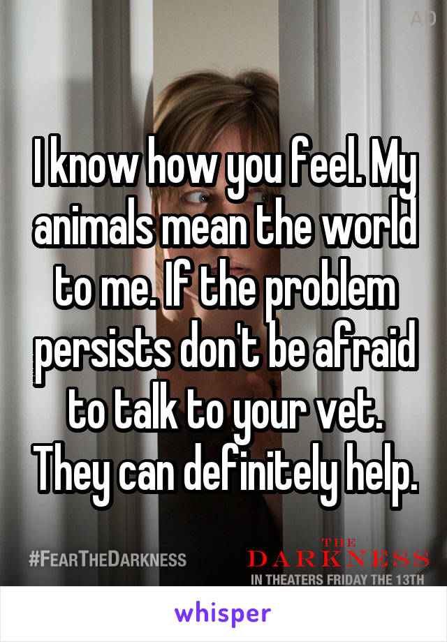 I know how you feel. My animals mean the world to me. If the problem persists don't be afraid to talk to your vet. They can definitely help.