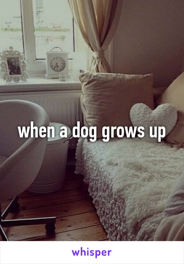 when a dog grows up