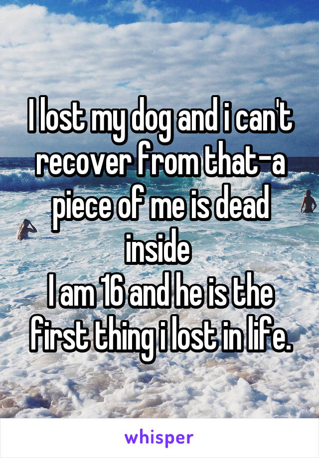 I lost my dog and i can't recover from that-a piece of me is dead inside 
I am 16 and he is the first thing i lost in life.