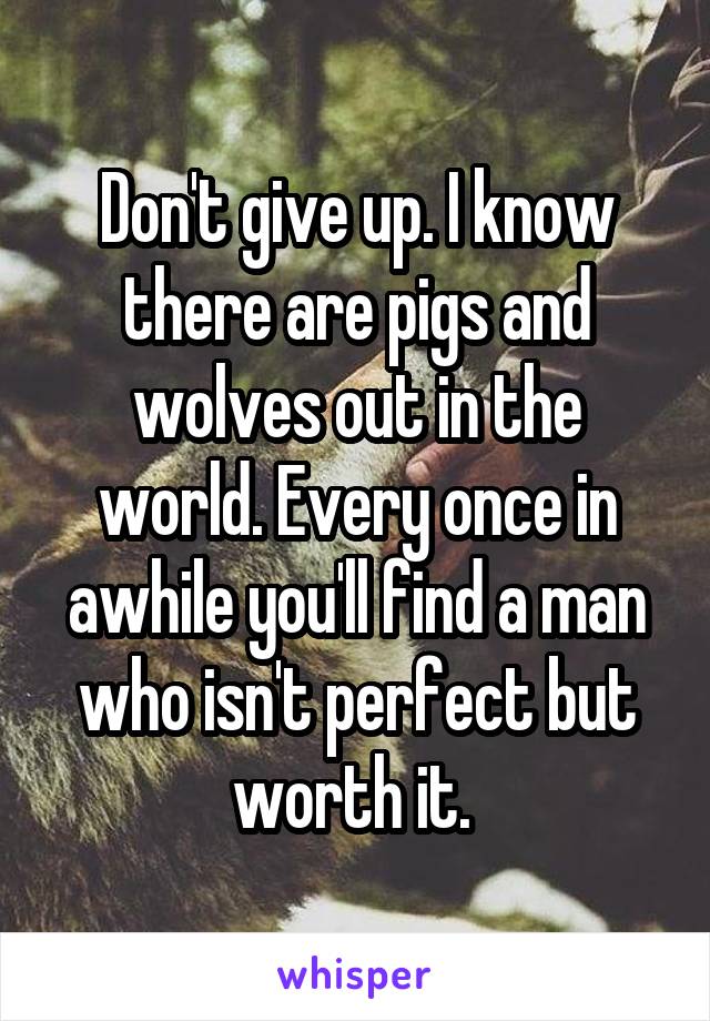 Don't give up. I know there are pigs and wolves out in the world. Every once in awhile you'll find a man who isn't perfect but worth it. 