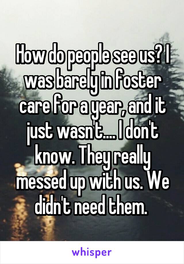 How do people see us? I was barely in foster care for a year, and it just wasn't.... I don't know. They really messed up with us. We didn't need them. 