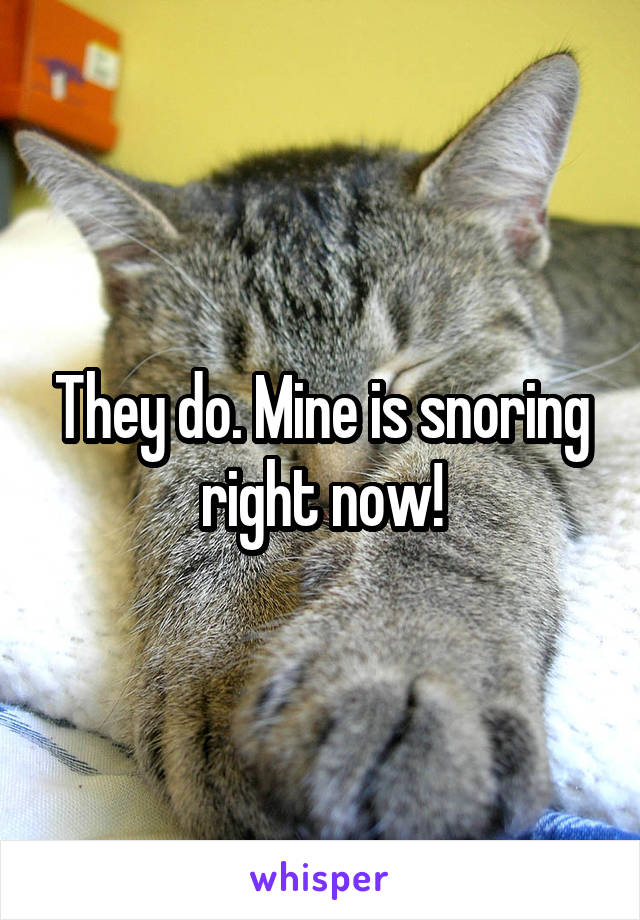 They do. Mine is snoring right now!