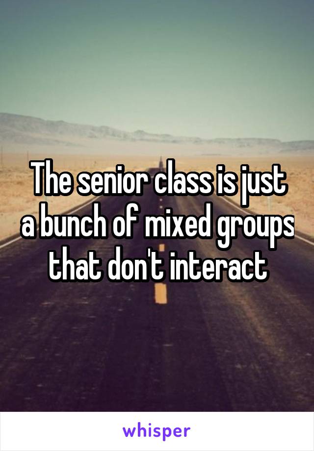 The senior class is just a bunch of mixed groups that don't interact