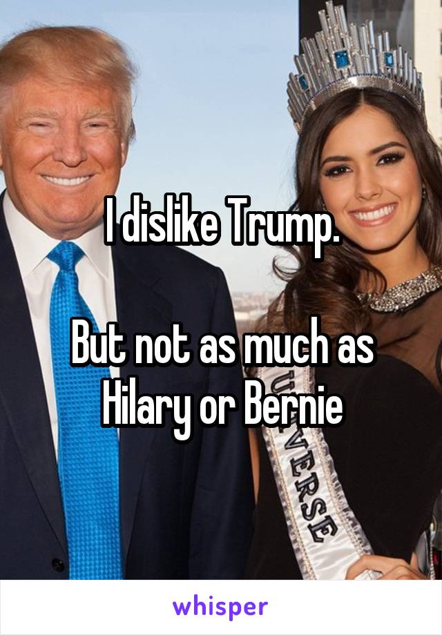 I dislike Trump.

But not as much as Hilary or Bernie