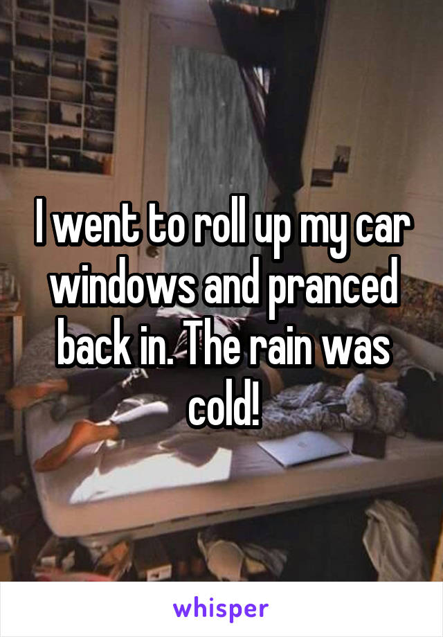 I went to roll up my car windows and pranced back in. The rain was cold!