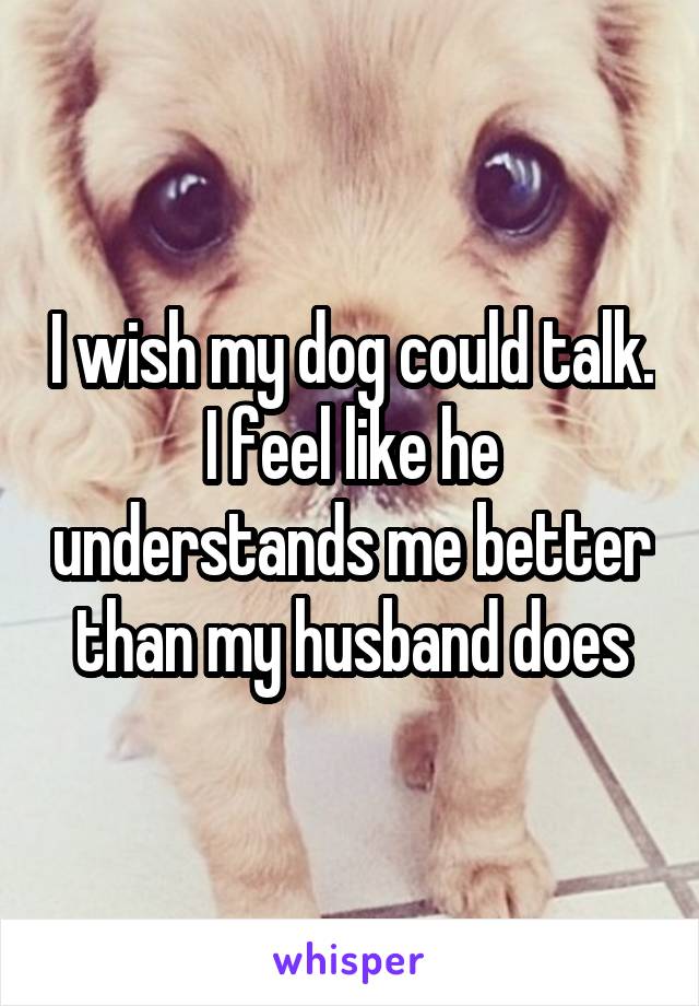 I wish my dog could talk. I feel like he understands me better than my husband does