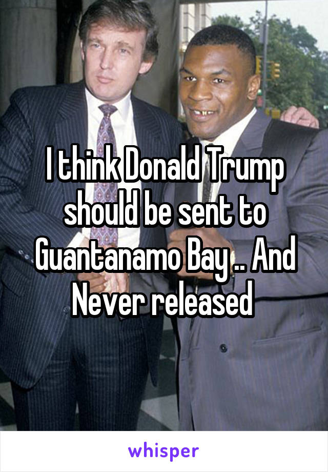 I think Donald Trump should be sent to Guantanamo Bay .. And Never released 