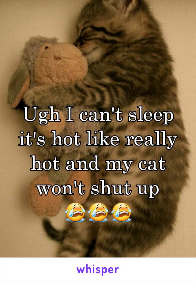 Ugh I can't sleep it's hot like really hot and my cat won't shut up
😭😭😭