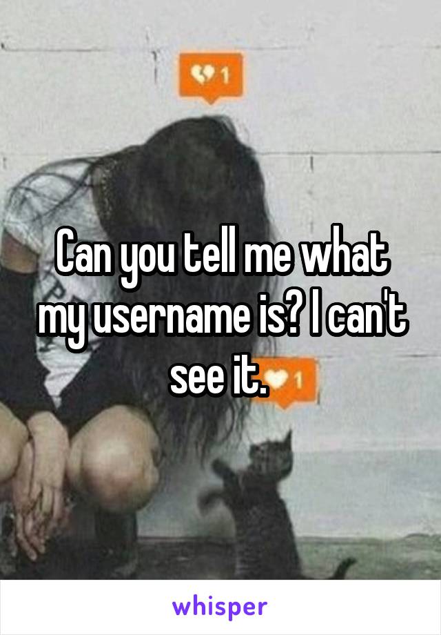 Can you tell me what my username is? I can't see it. 