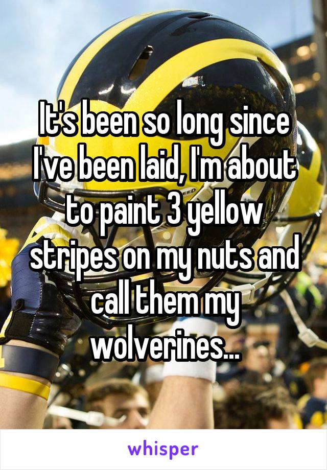 It's been so long since I've been laid, I'm about to paint 3 yellow stripes on my nuts and call them my wolverines...