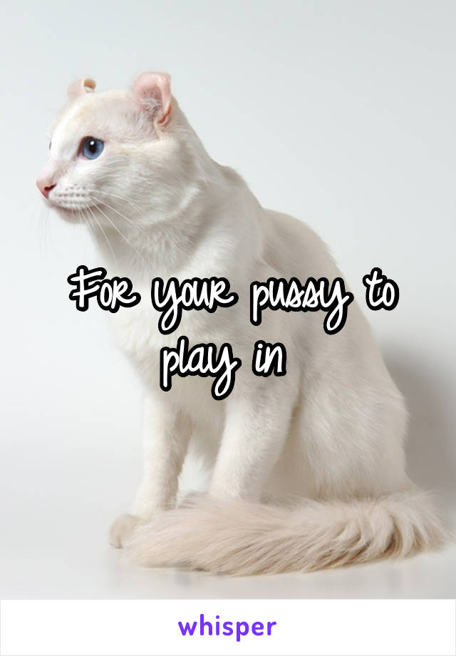 For your pussy to play in 