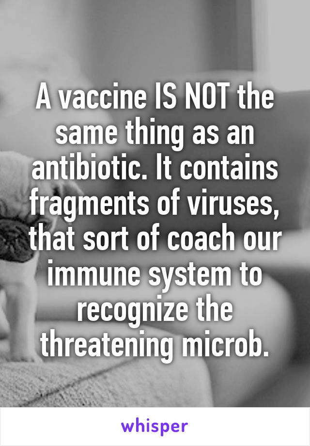 A vaccine IS NOT the same thing as an antibiotic. It contains fragments of viruses, that sort of coach our immune system to recognize the threatening microb.