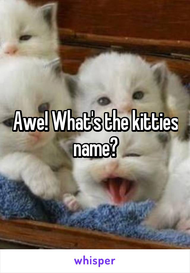 Awe! What's the kitties name?