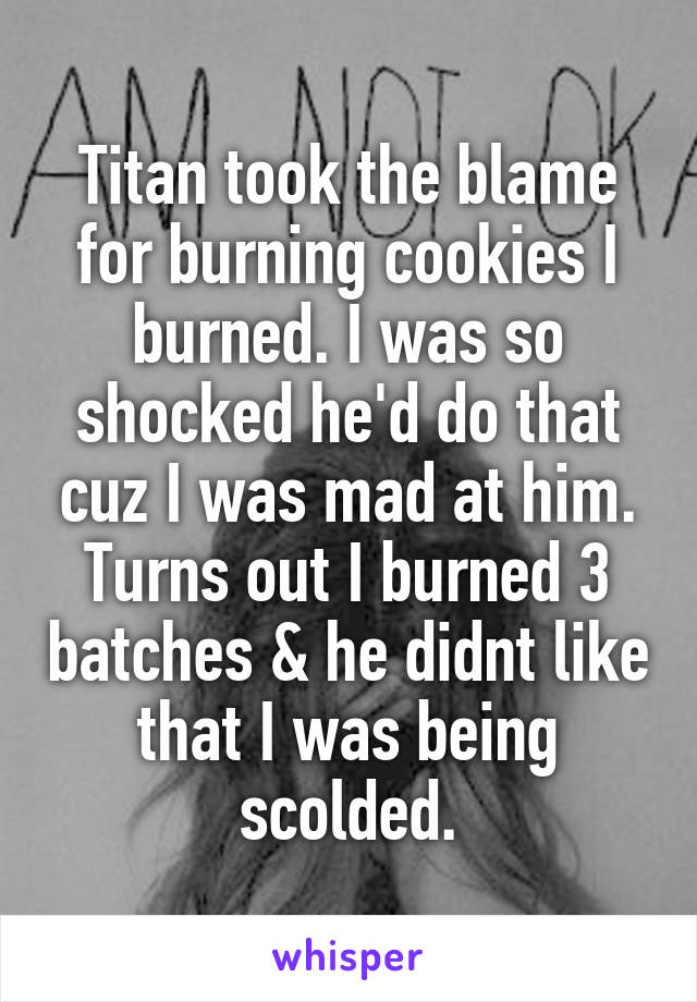 Titan took the blame for burning cookies I burned. I was so shocked he'd do that cuz I was mad at him. Turns out I burned 3 batches & he didnt like that I was being scolded.