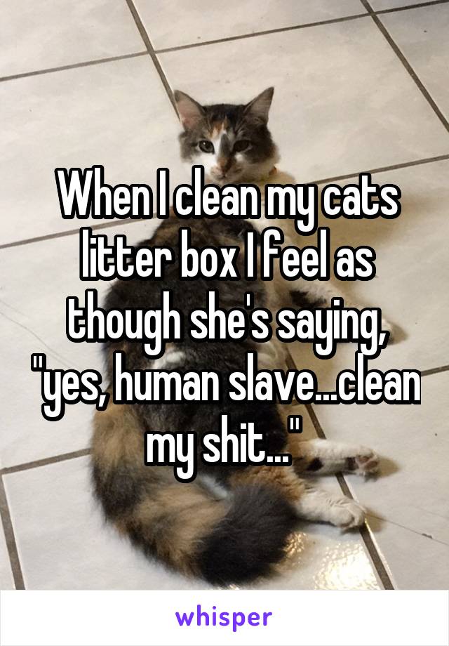 When I clean my cats litter box I feel as though she's saying, "yes, human slave...clean my shit..." 