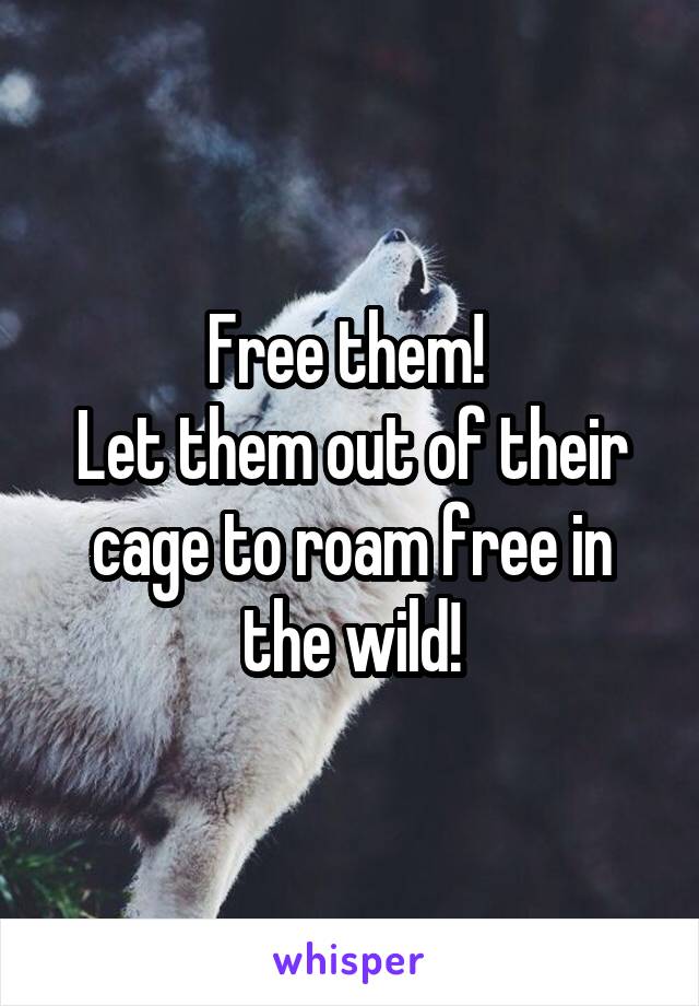 Free them! 
Let them out of their cage to roam free in the wild!