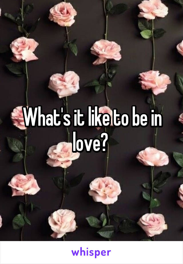 What's it like to be in love? 