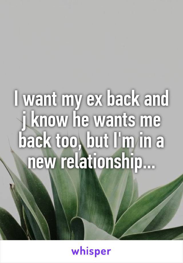 I want my ex back and j know he wants me back too, but I'm in a new relationship...