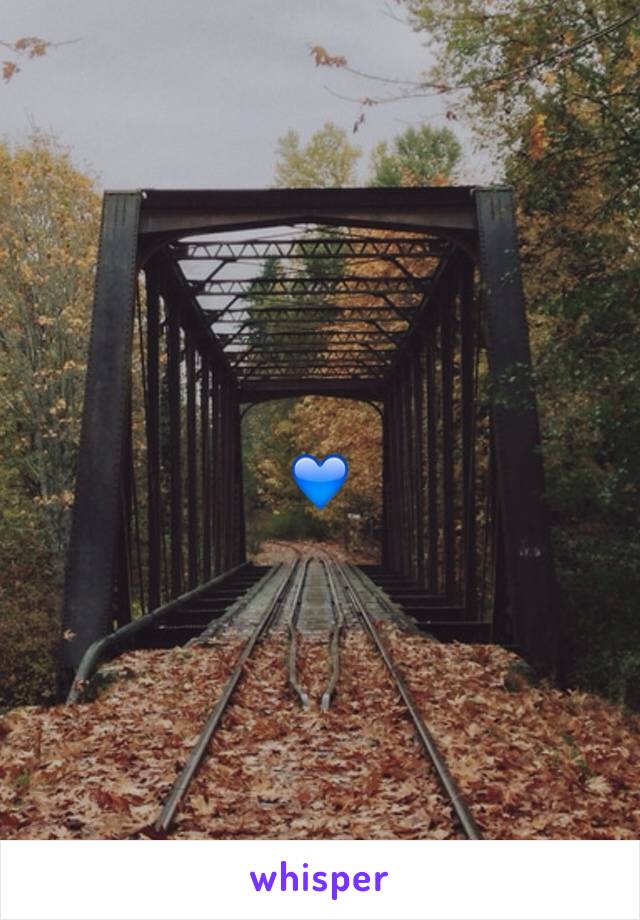 💙