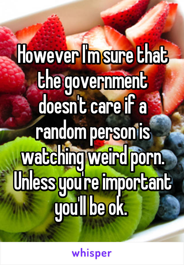 However I'm sure that the government doesn't care if a random person is watching weird porn. Unless you're important you'll be ok. 