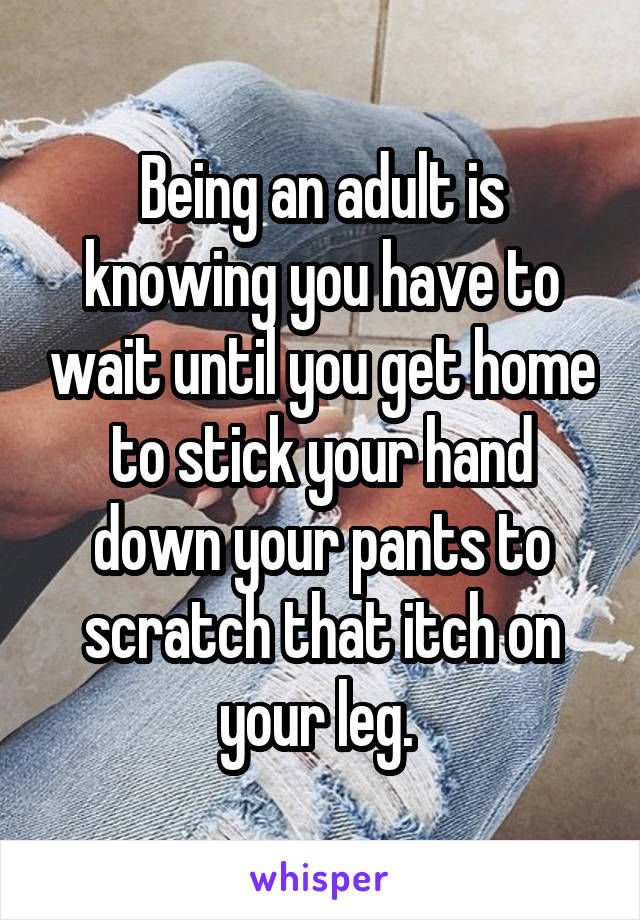 Being an adult is knowing you have to wait until you get home to stick your hand down your pants to scratch that itch on your leg. 