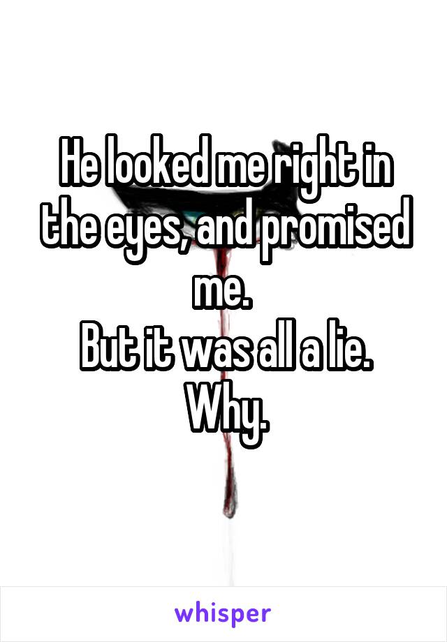 He looked me right in the eyes, and promised me. 
But it was all a lie.
Why.
