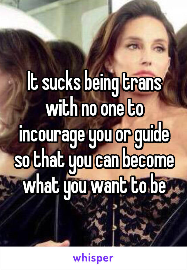 It sucks being trans with no one to incourage you or guide so that you can become what you want to be