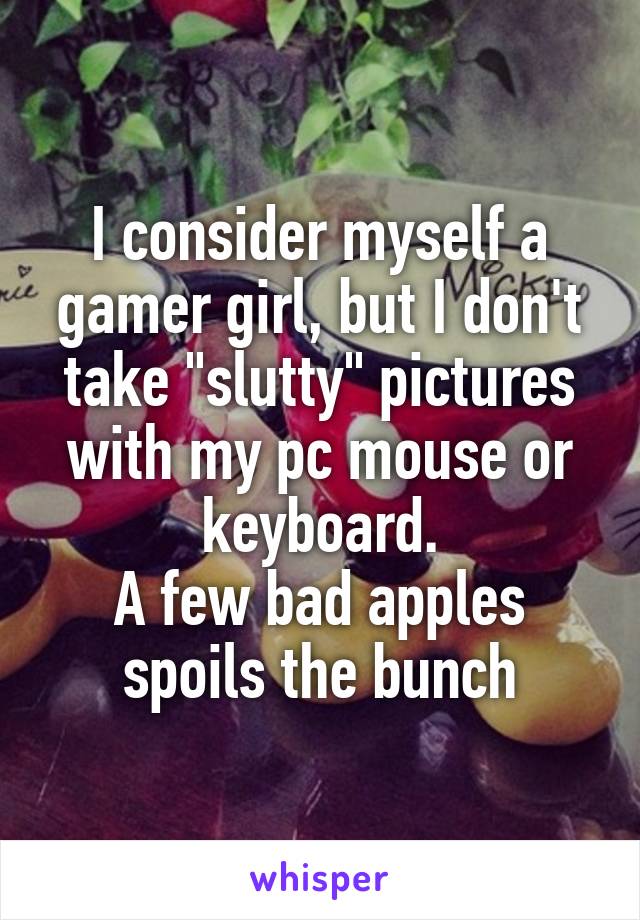 I consider myself a gamer girl, but I don't take "slutty" pictures with my pc mouse or keyboard.
A few bad apples spoils the bunch