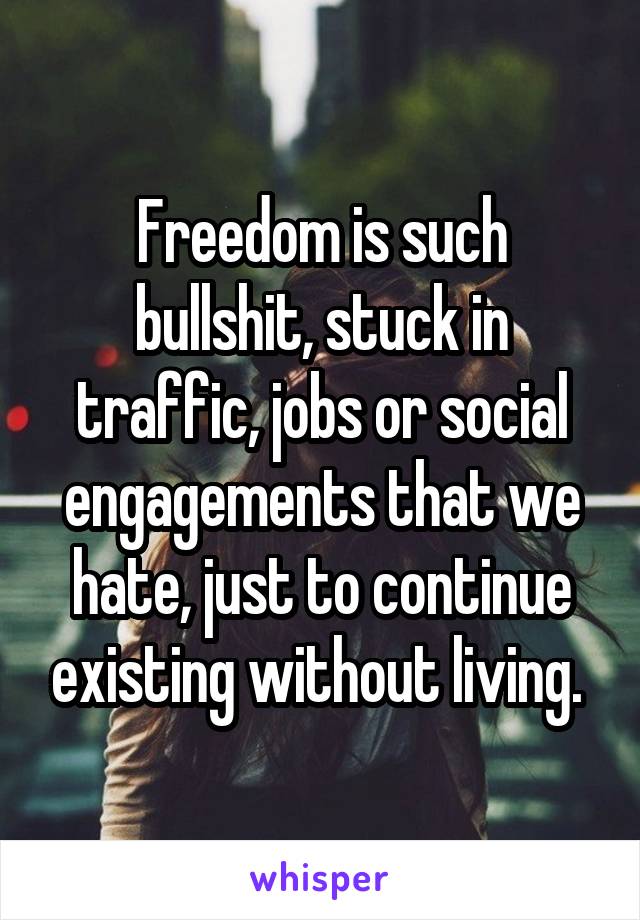 Freedom is such bullshit, stuck in traffic, jobs or social engagements that we hate, just to continue existing without living. 