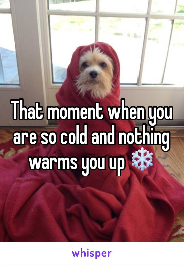 That moment when you are so cold and nothing warms you up ❄️