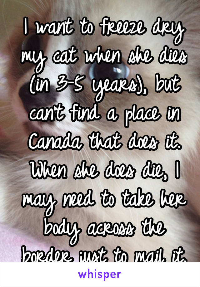 I want to freeze dry my cat when she dies (in 3-5 years), but can't find a place in Canada that does it. When she does die, I may need to take her body across the border just to mail it.