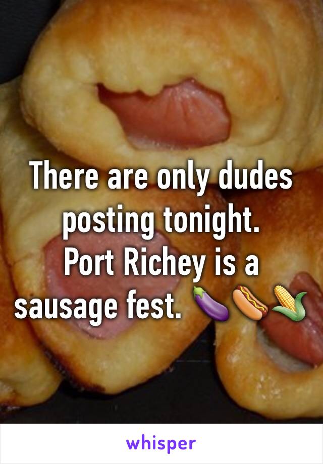 There are only dudes posting tonight. 
Port Richey is a sausage fest. 🍆🌭🌽