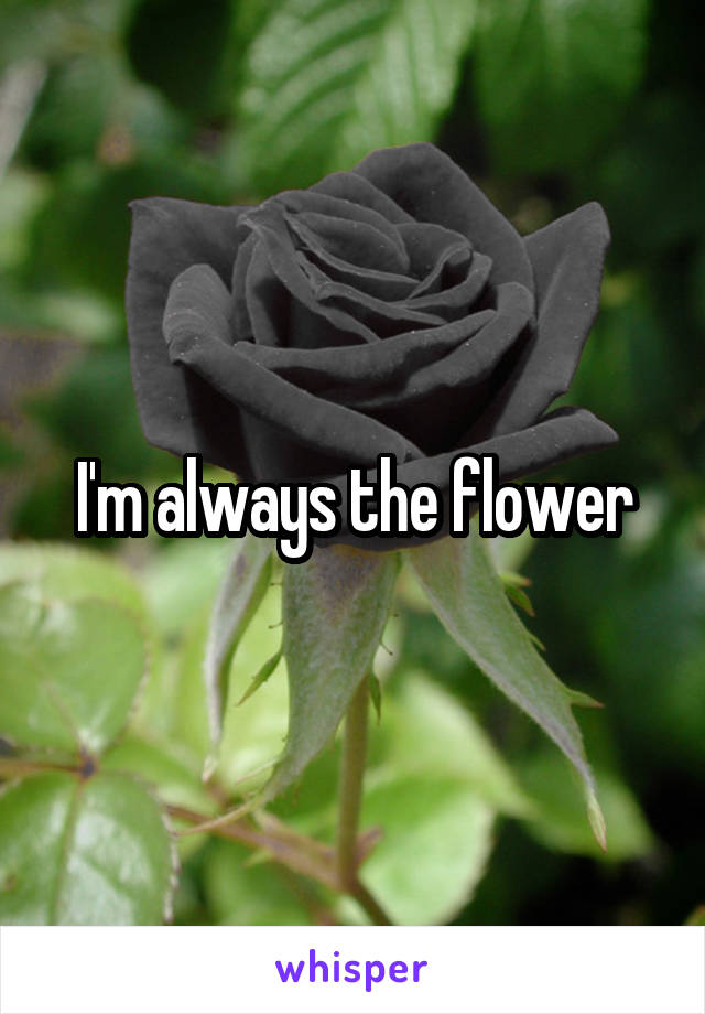 I'm always the flower