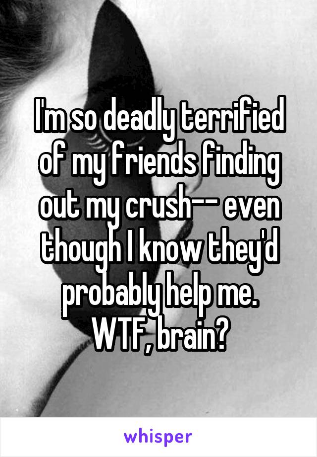 I'm so deadly terrified of my friends finding out my crush-- even though I know they'd probably help me.
WTF, brain?