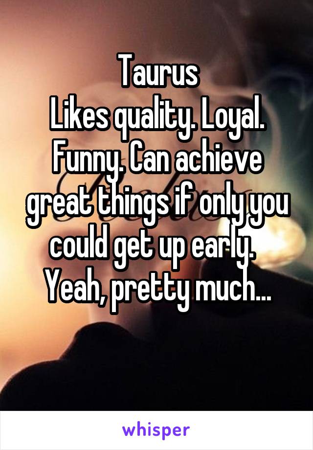 Taurus
Likes quality. Loyal. Funny. Can achieve great things if only you could get up early.  
Yeah, pretty much...

