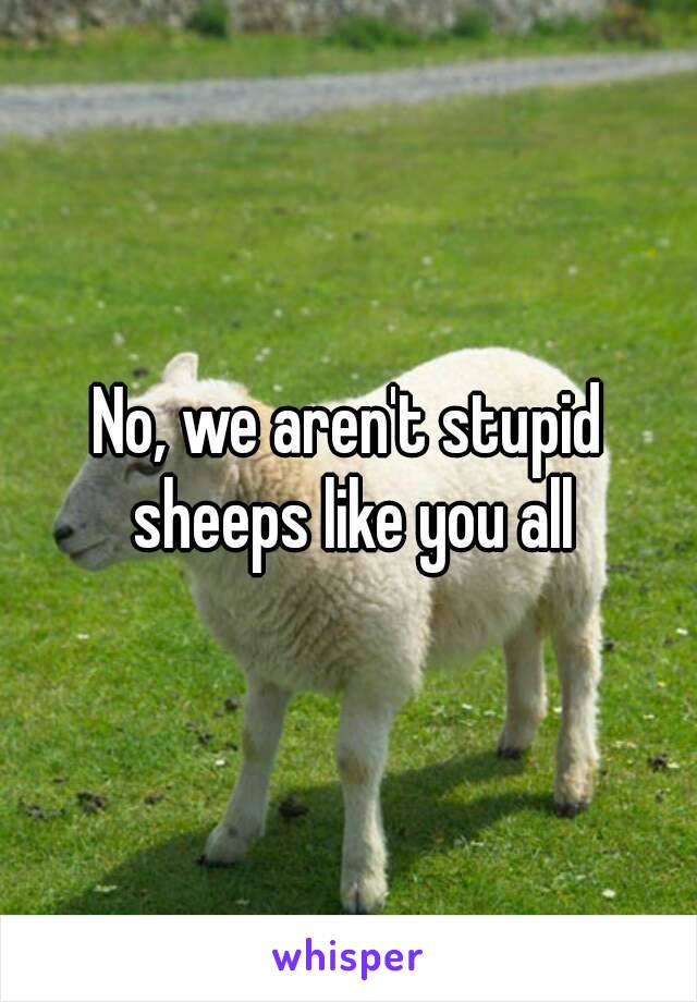 No, we aren't stupid sheeps like you all