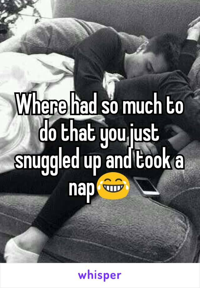 Where had so much to do that you just snuggled up and took a nap😂