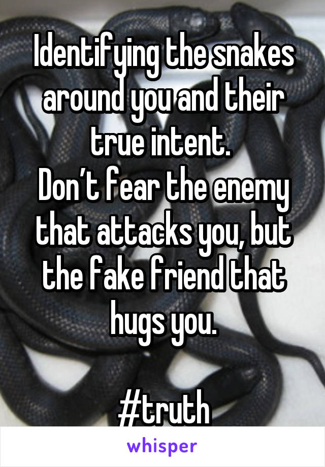 Identifying the snakes around you and their true intent. 
Don’t fear the enemy that attacks you, but the fake friend that hugs you.

#truth