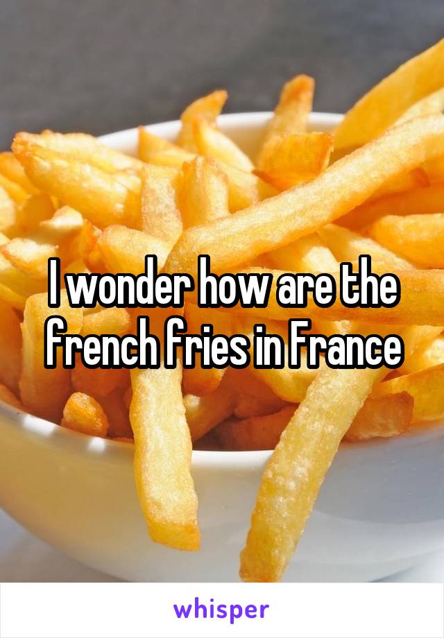 I wonder how are the french fries in France