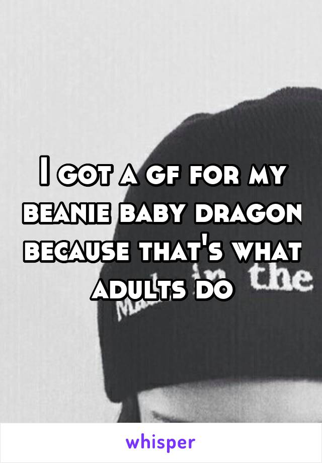 I got a gf for my beanie baby dragon because that's what adults do