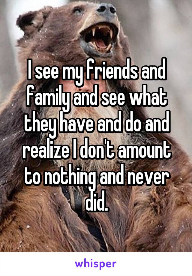 I see my friends and family and see what they have and do and realize I don't amount to nothing and never did.