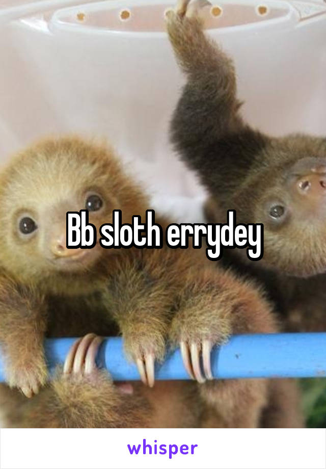 Bb sloth errydey