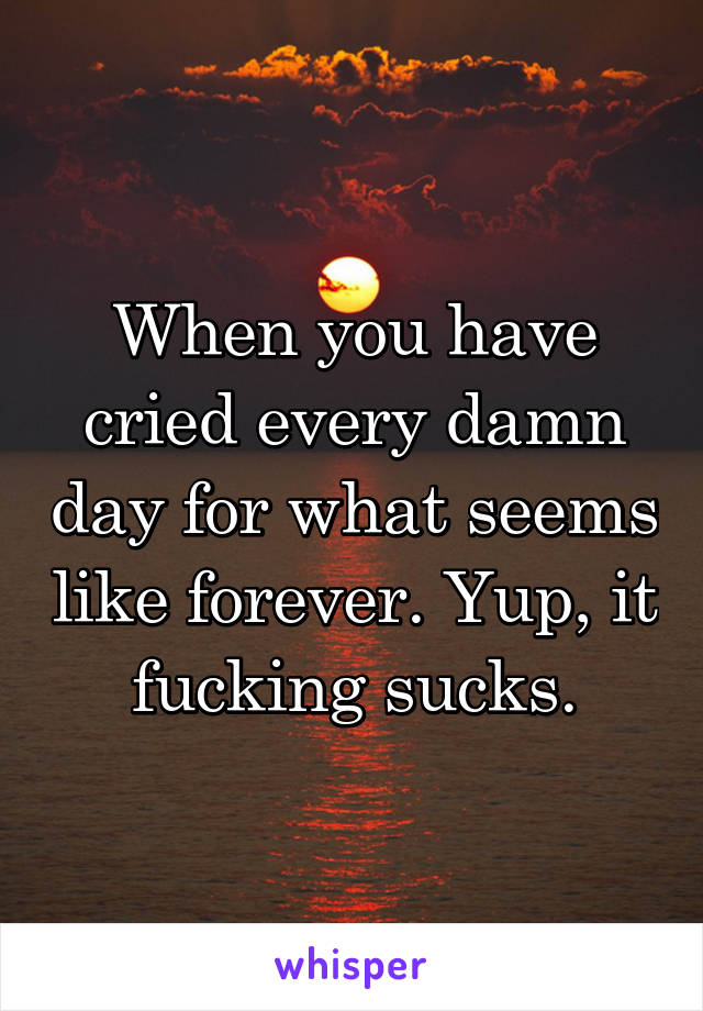 When you have cried every damn day for what seems like forever. Yup, it fucking sucks.