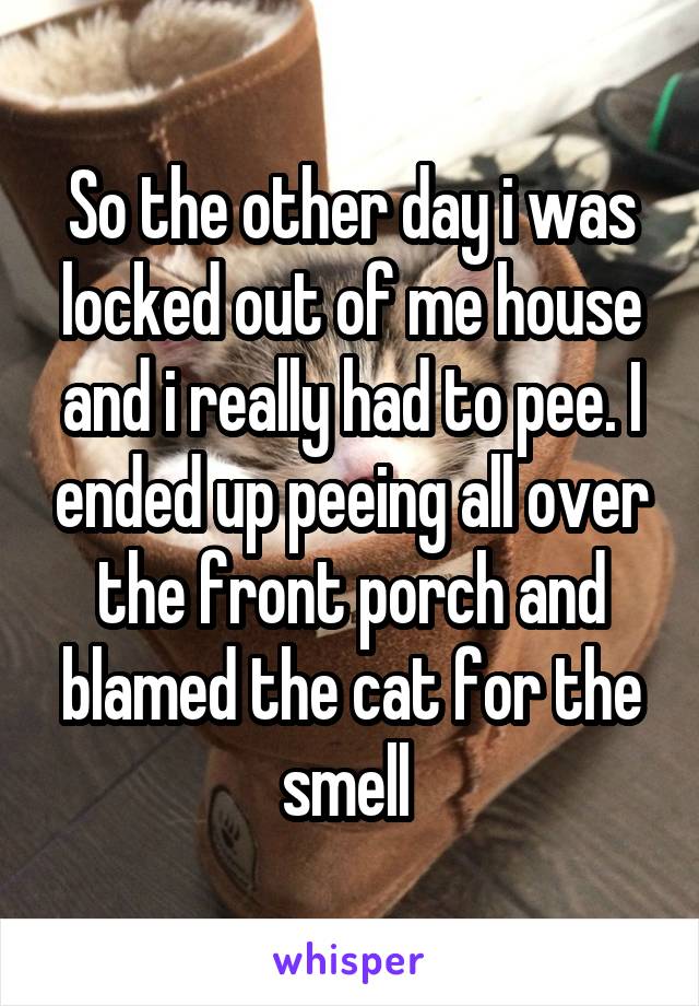 So the other day i was locked out of me house and i really had to pee. I ended up peeing all over the front porch and blamed the cat for the smell 